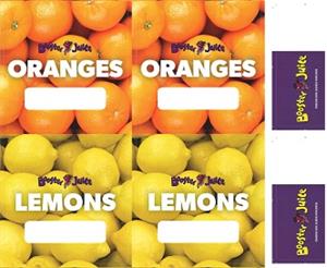 Juicing Labels - Individual Orange Lemons